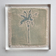 Original Hurricane Palm 11