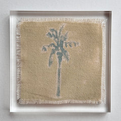 Original Hurricane Palm 15