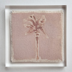 Original Hurricane Palm 2