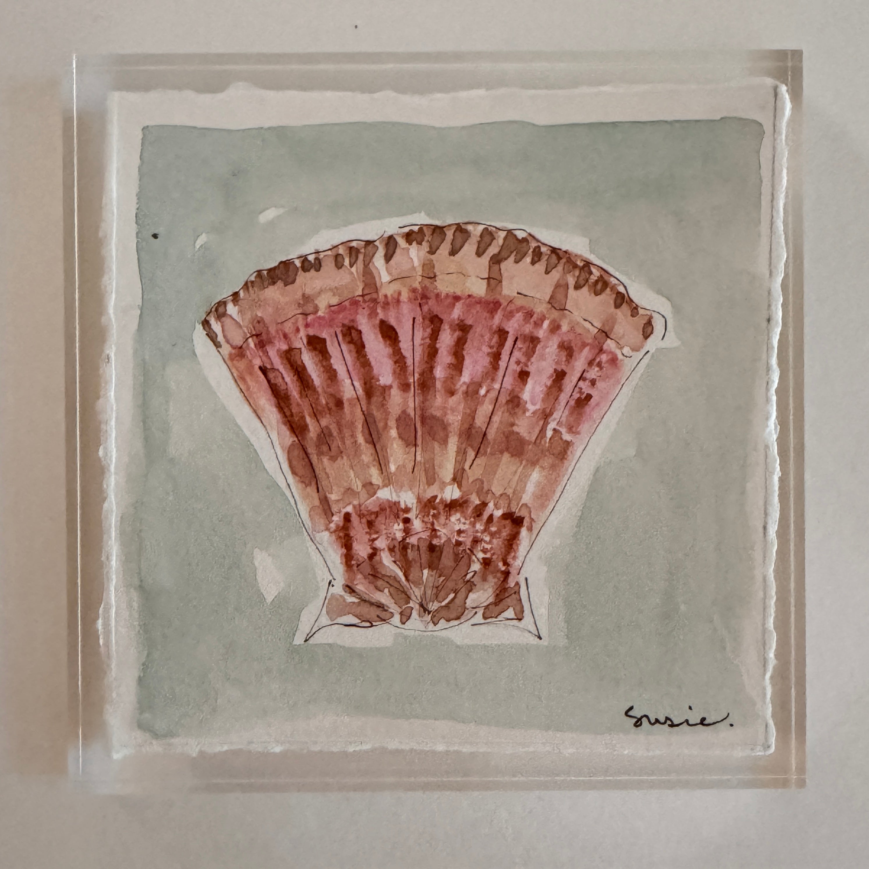 Original Seashell 14