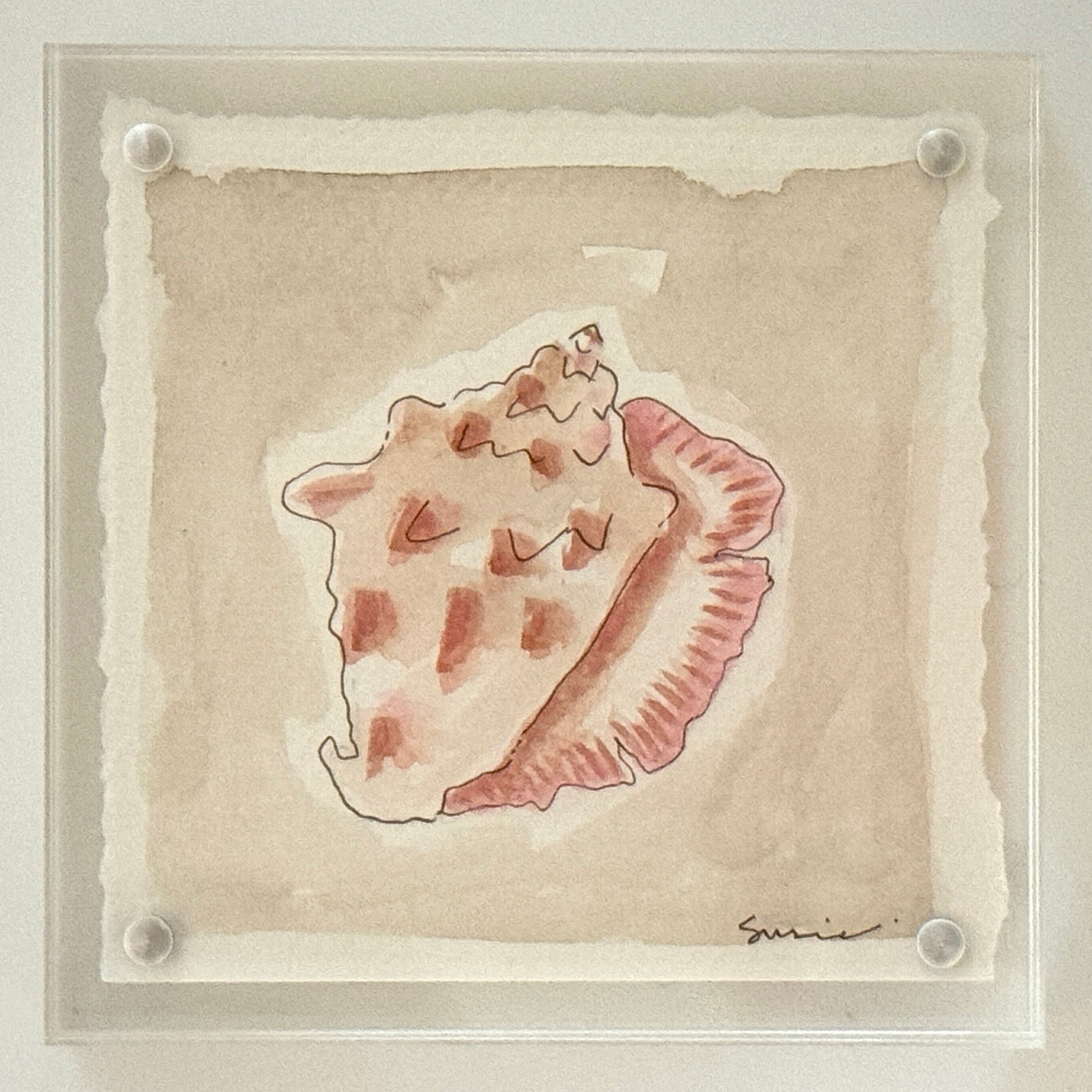 Original Susie Shell No. 21