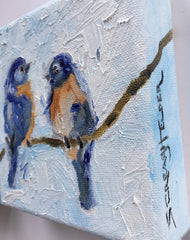 Two Bluebirds