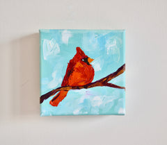 Cardinal in Light Blue