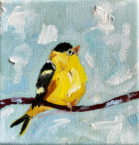 Hopeful Goldfinch