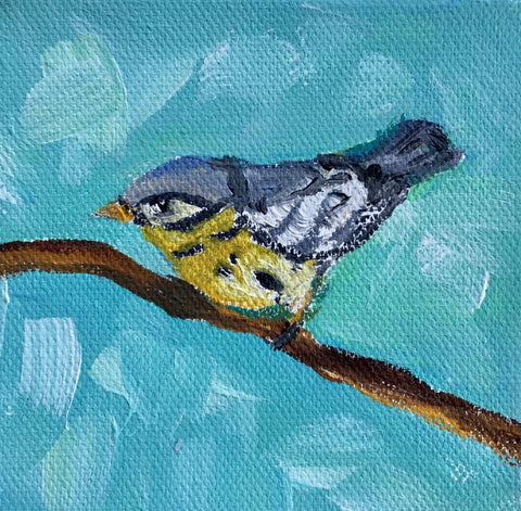 Magnolia Warbler