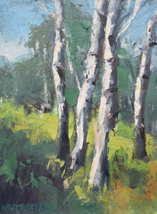 Aspen Study