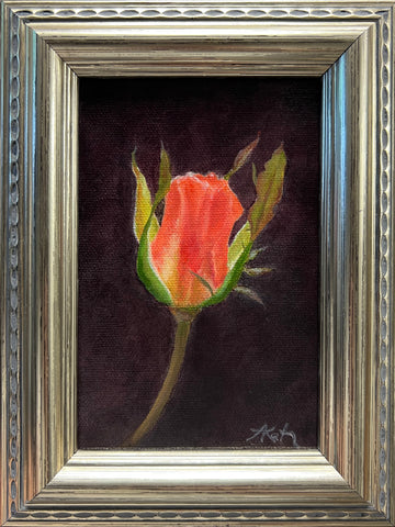 Tulip Study VI