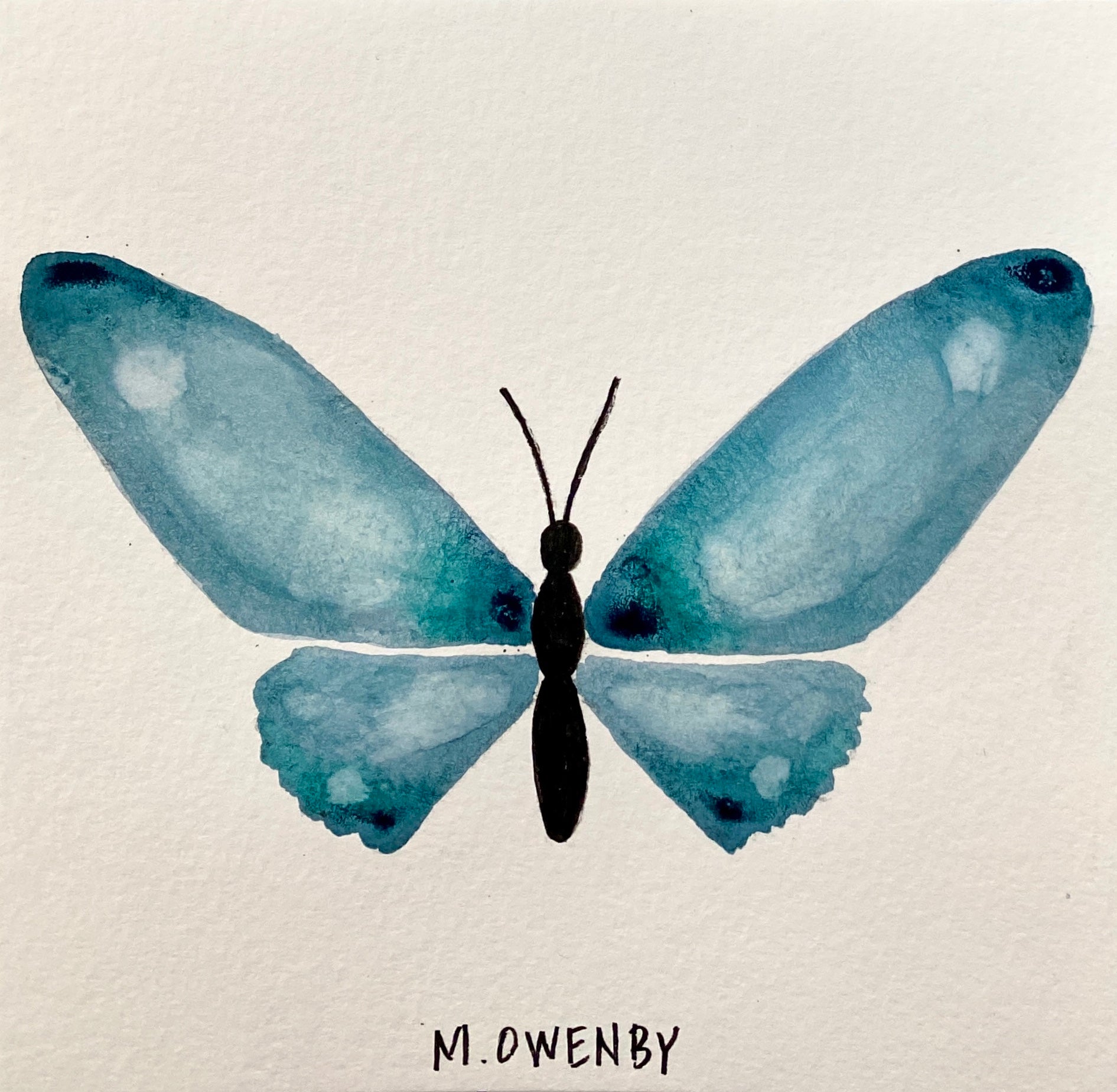 Butterfly No. 24