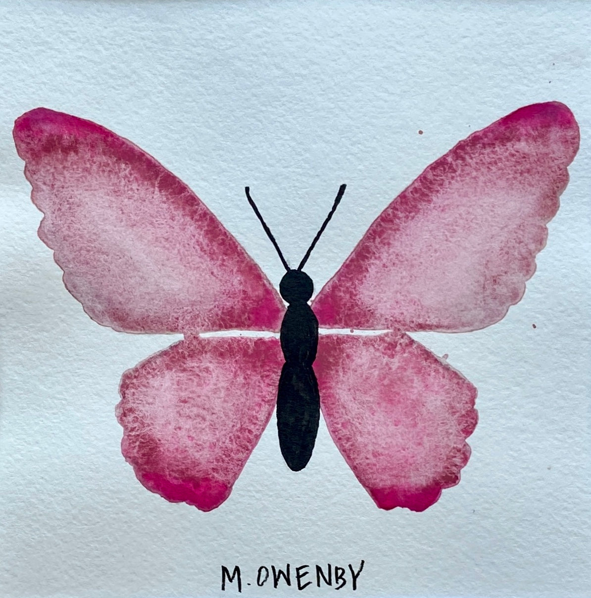 Butterfly No. 26