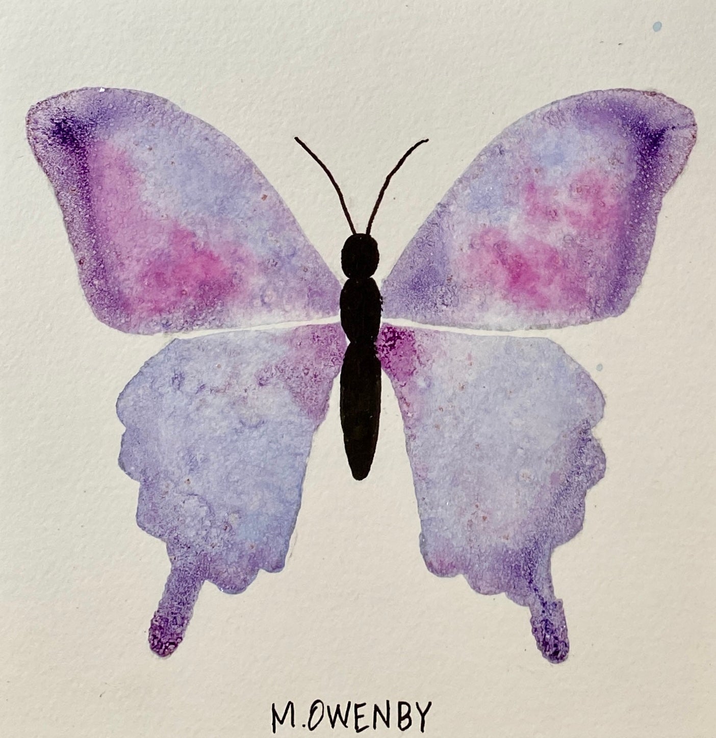 Butterfly No. 7