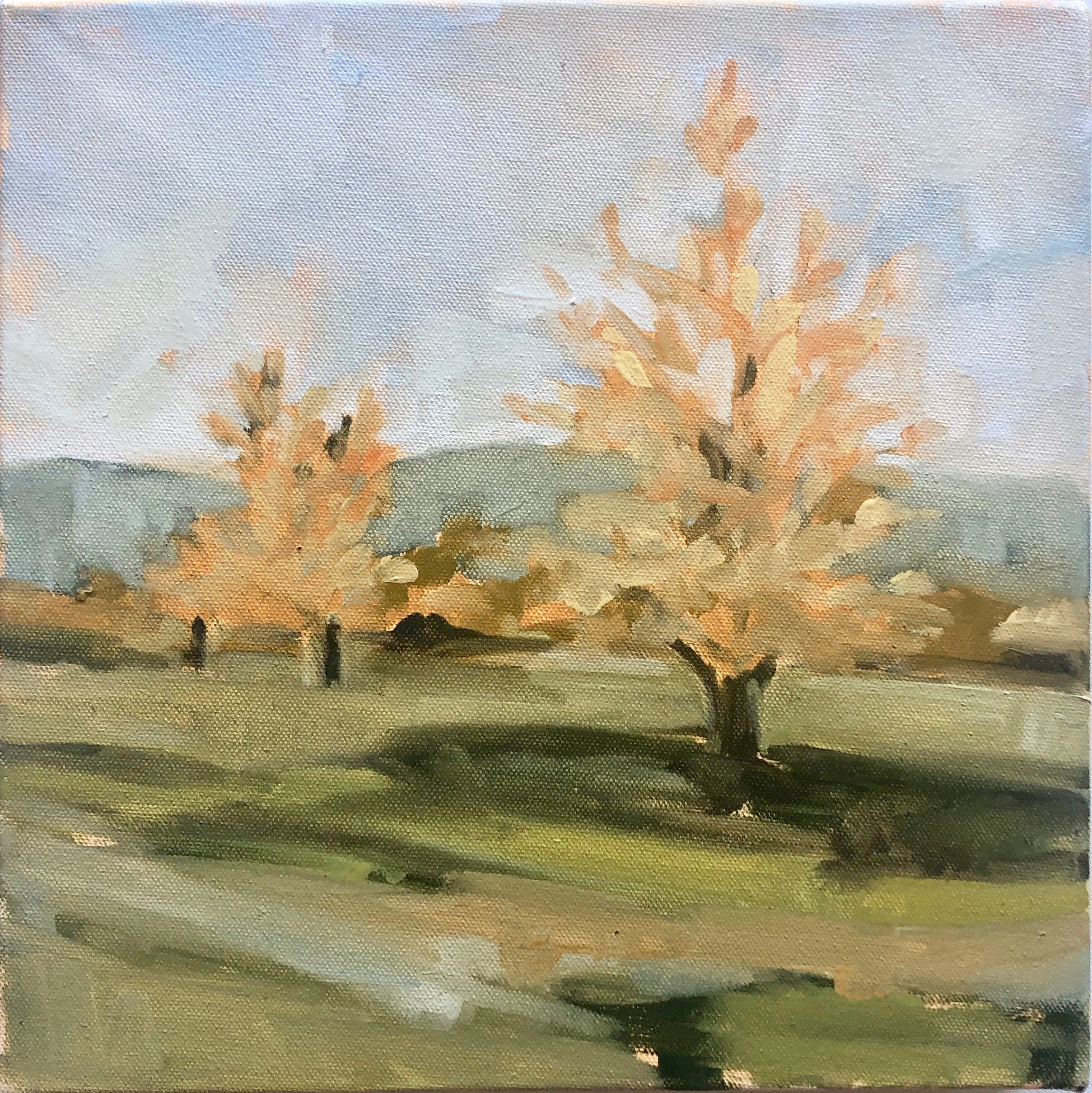 Fall Orchard I