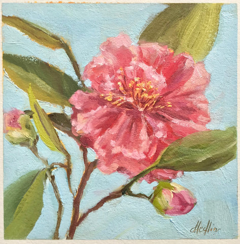 Camellia