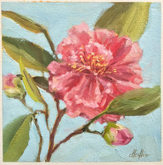 Camellia