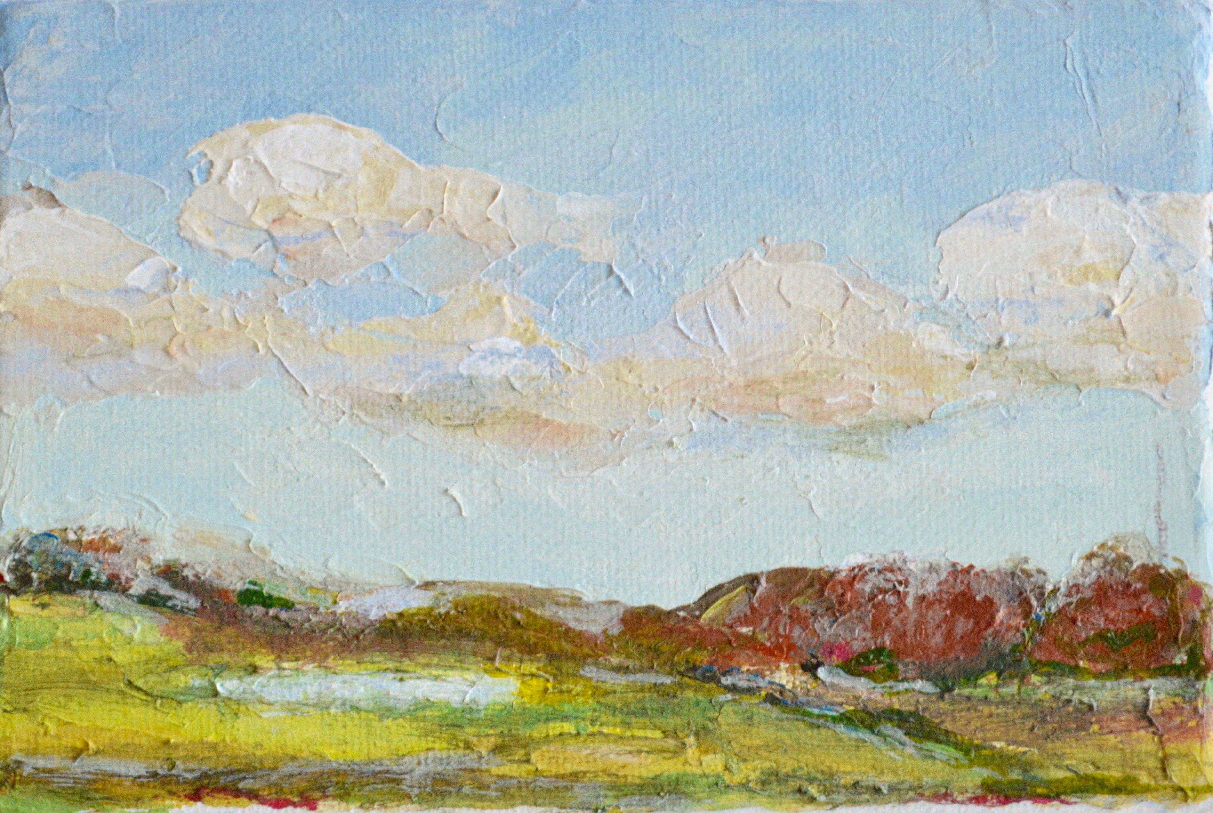 The Landscape