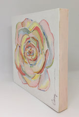 Rose of Many Colors