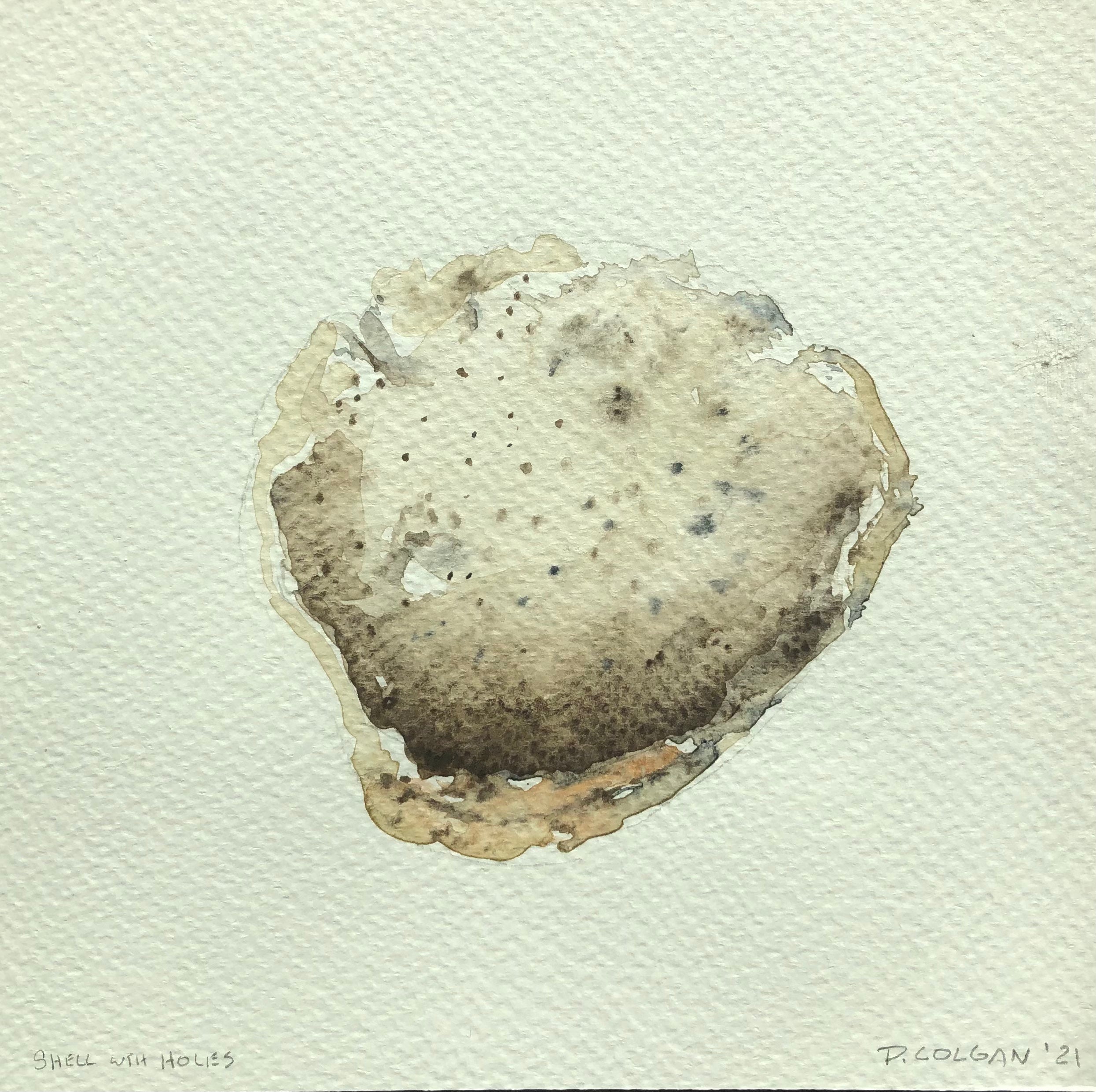 Shell with Holes (Front)