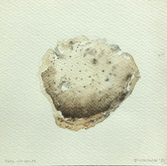 Shell with Holes (Front)