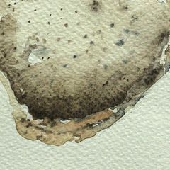 Shell with Holes (Front)