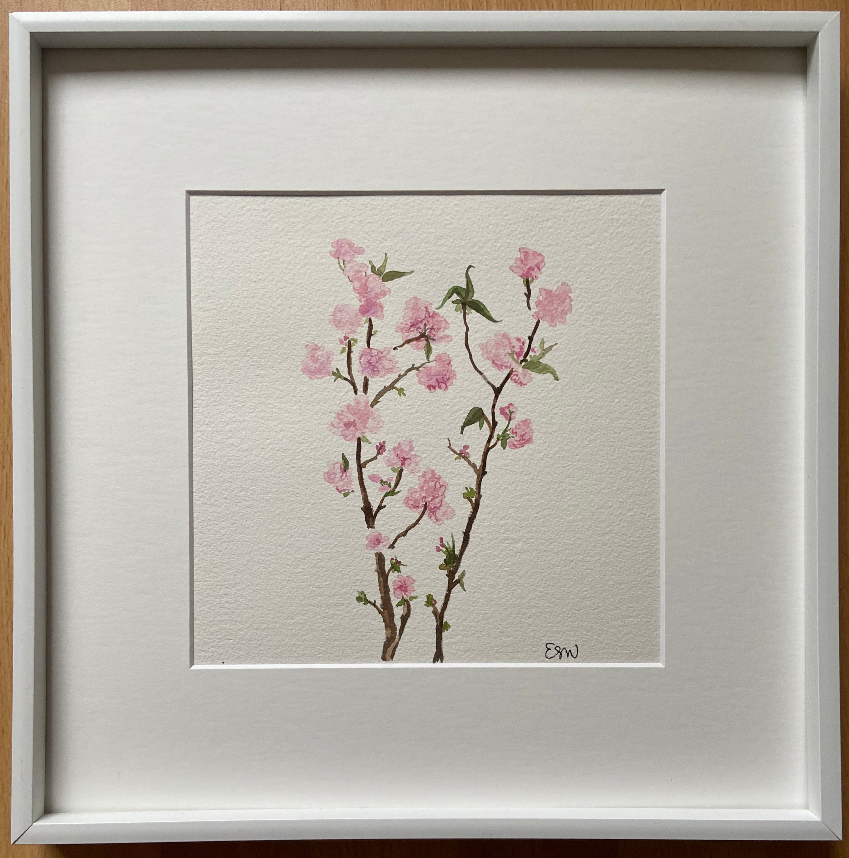 Cherry Blossoms