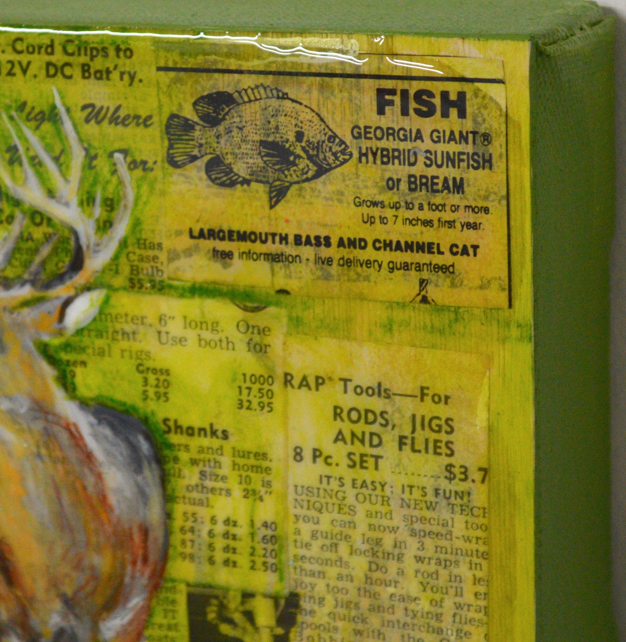 Hunting and Fishing