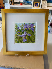 Wild Iris