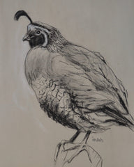 Charcoal Study Quail 2