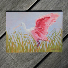 Spoonbill I