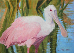 Spoonbill II