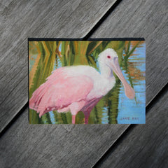 Spoonbill II