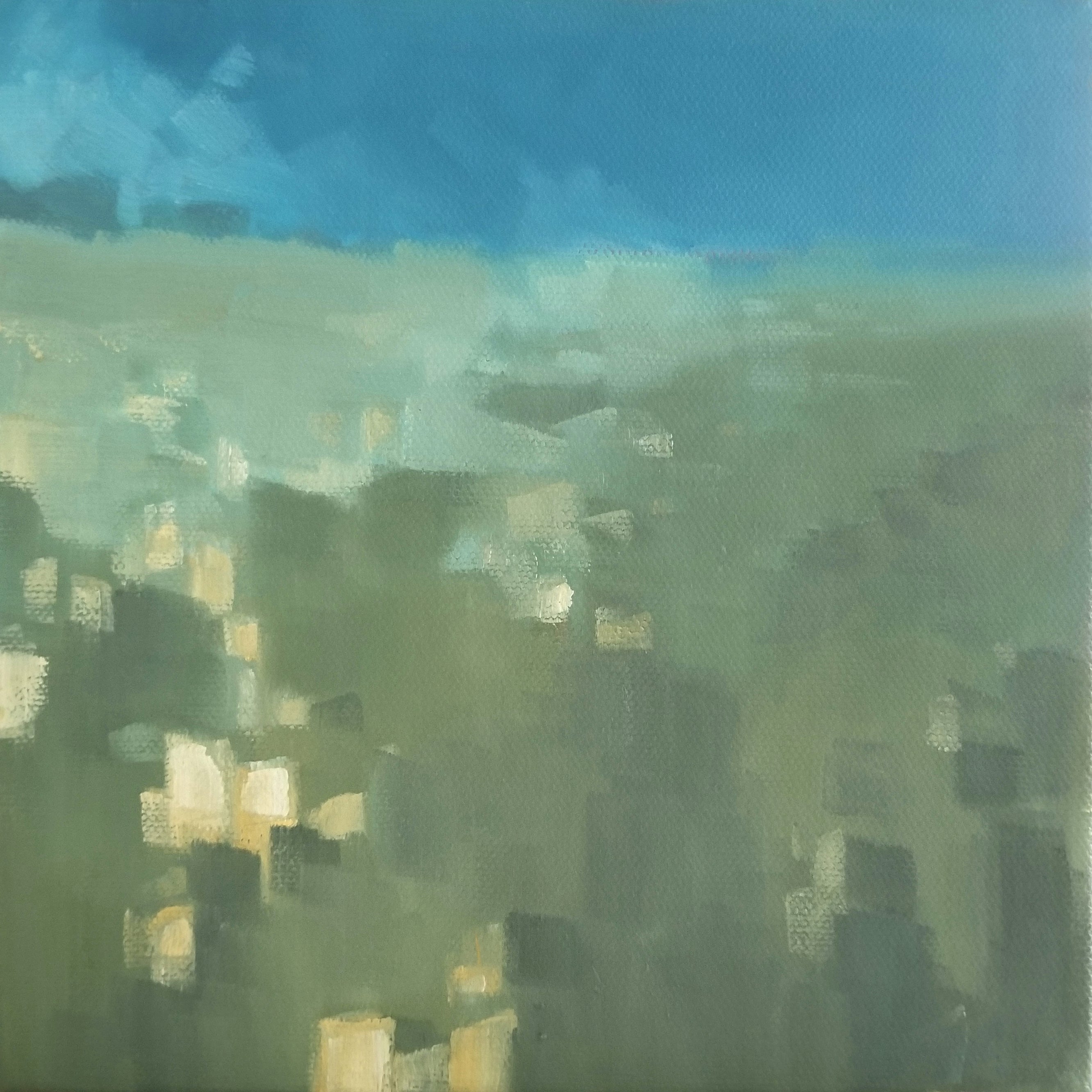 Open Field #9