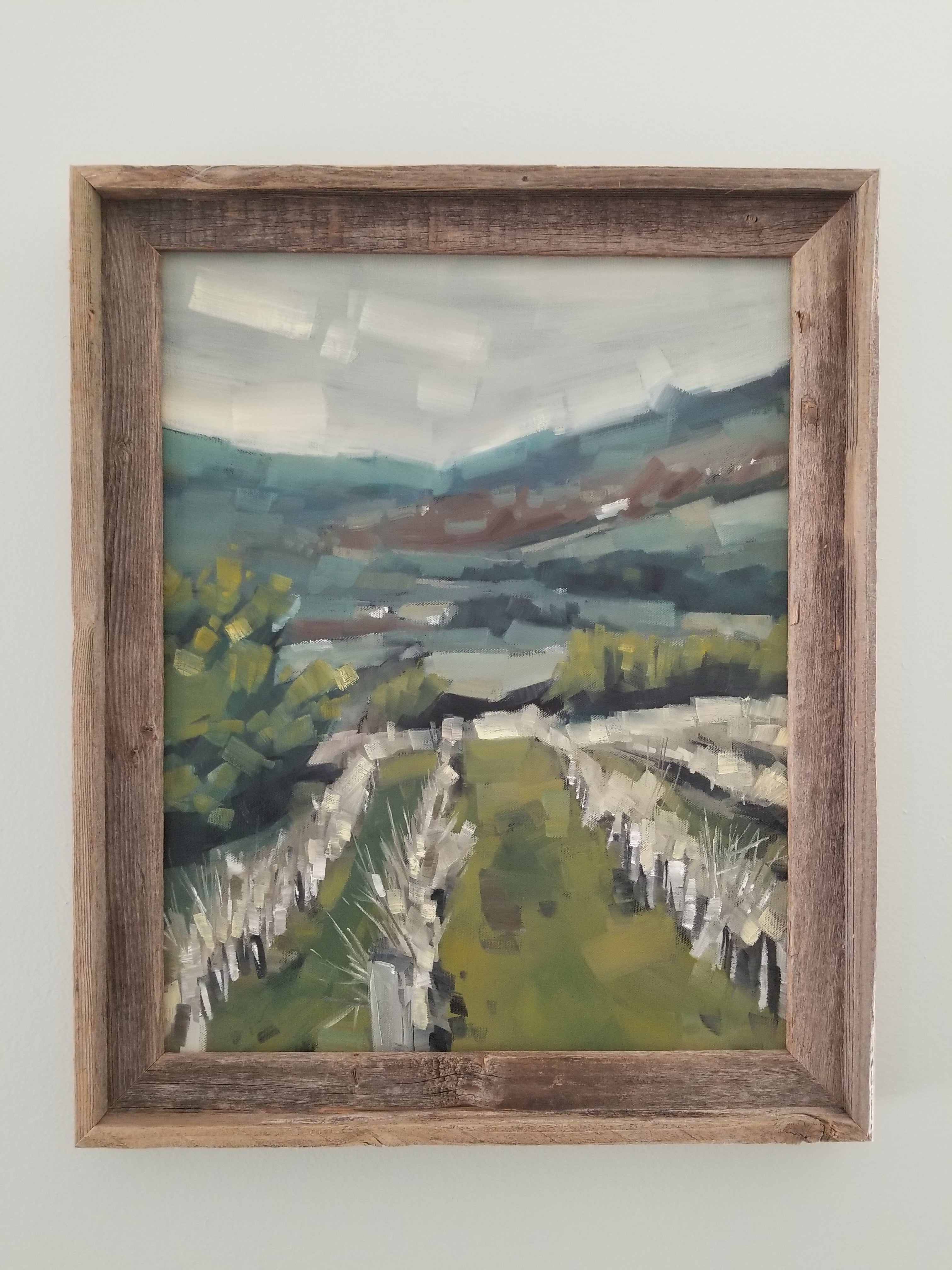 Vineyard in Winter