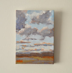 Western Skies