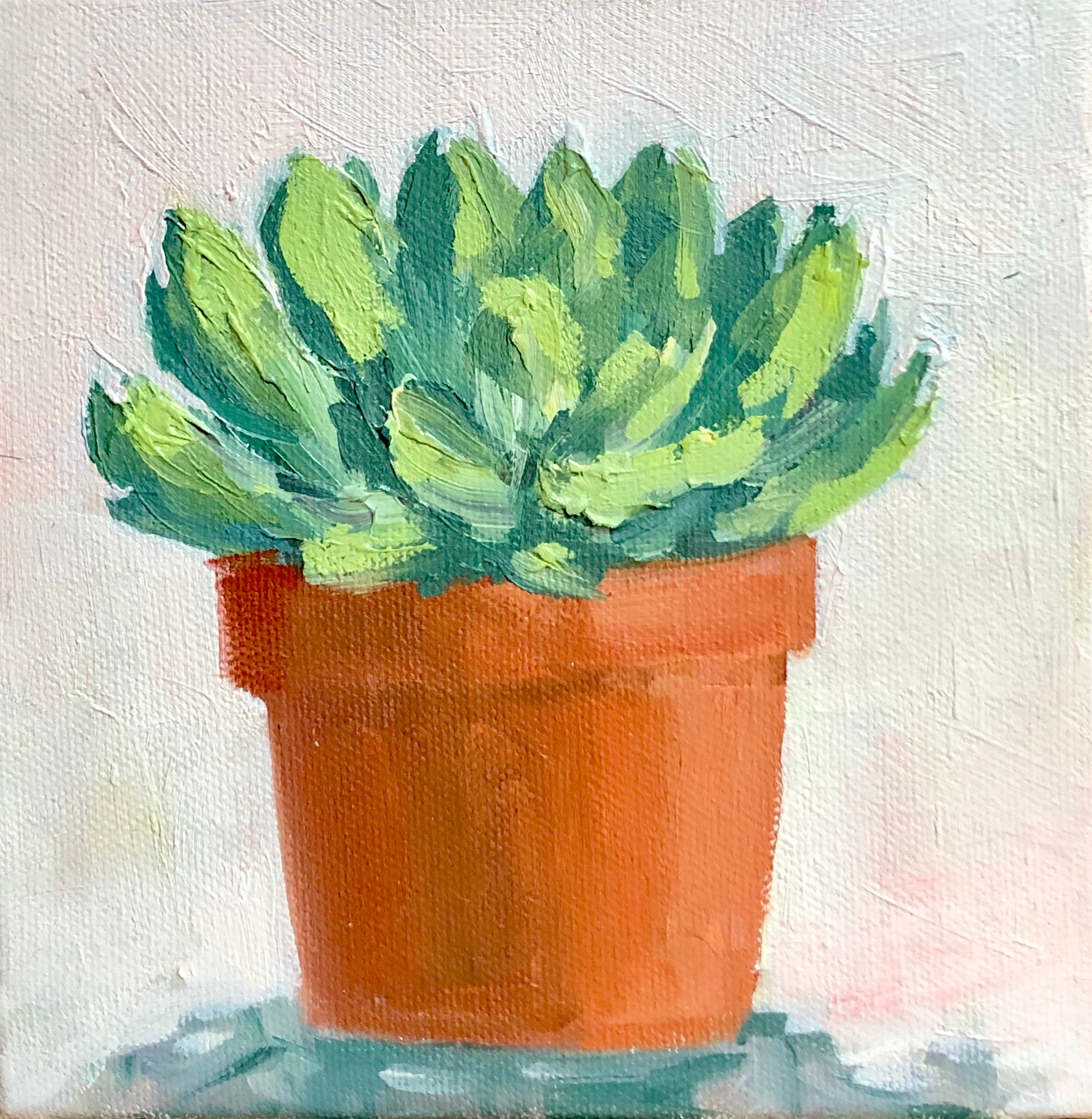Succulent 2