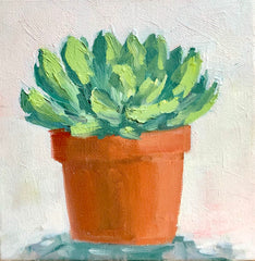 Succulent 2
