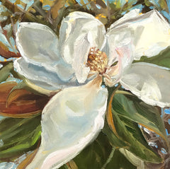 Magnolia