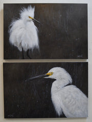 I've Got My Eye On You