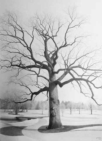 Belle Meade Tree