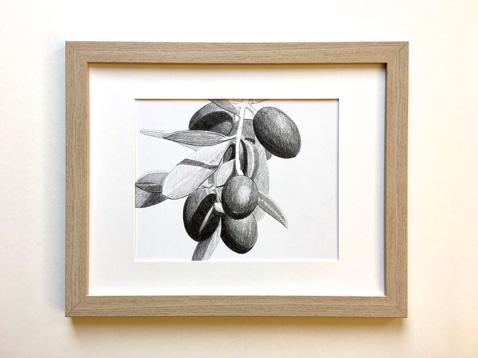 Loose Olive Study