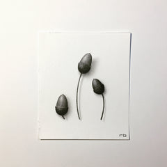 Petite Acorn III