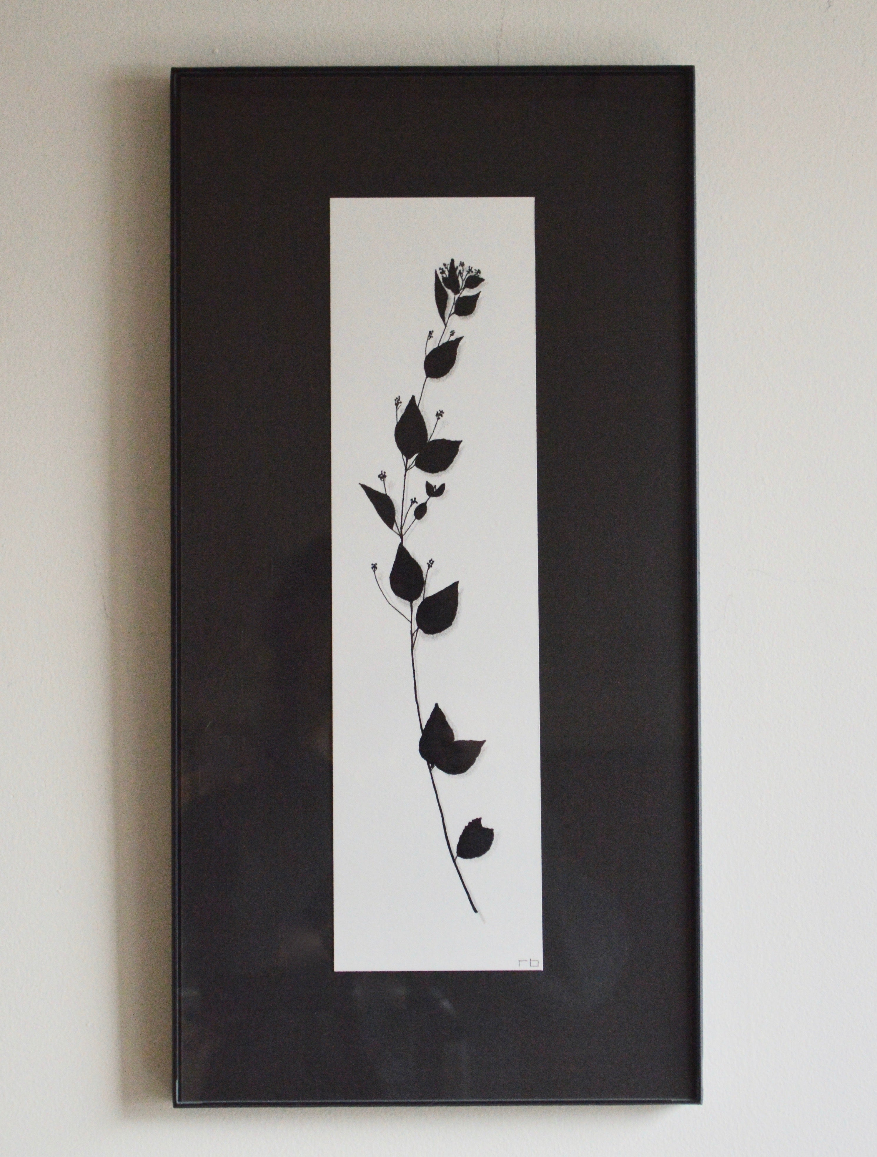 Plant Study I