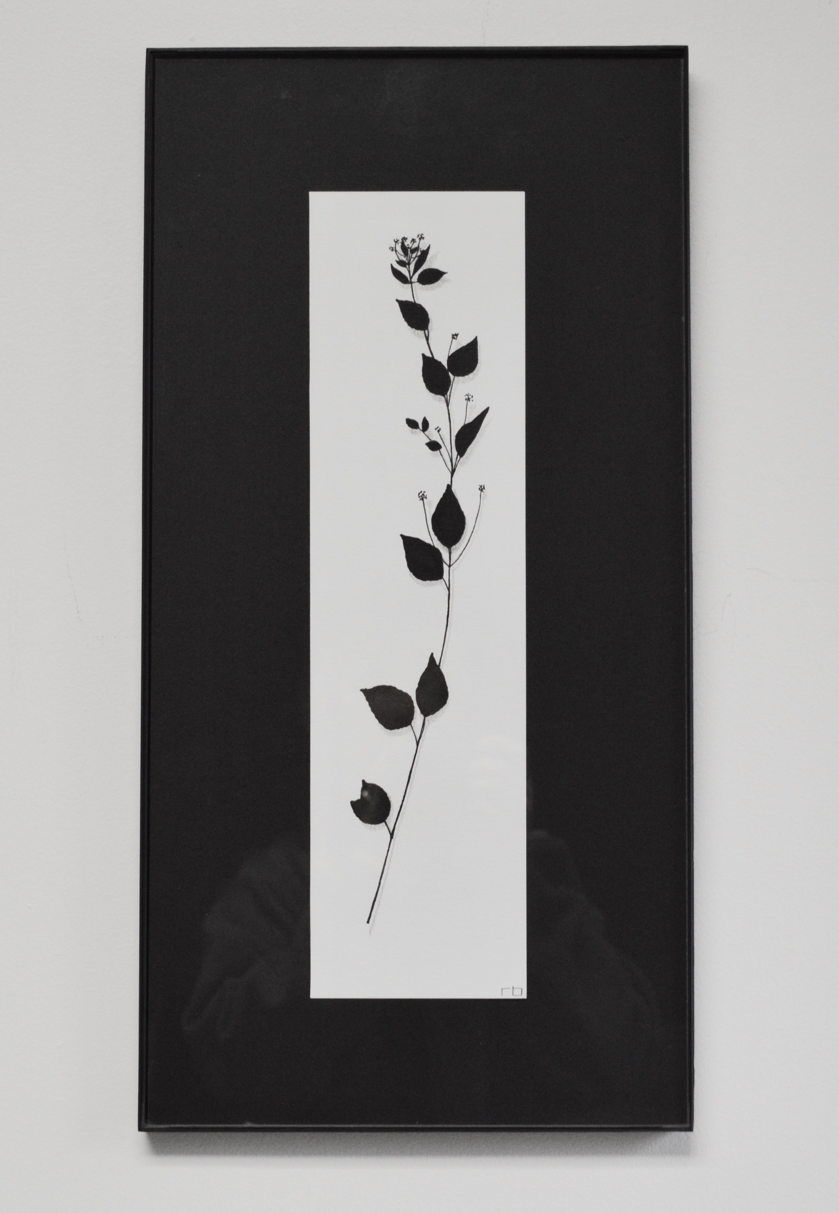 Plant Study II
