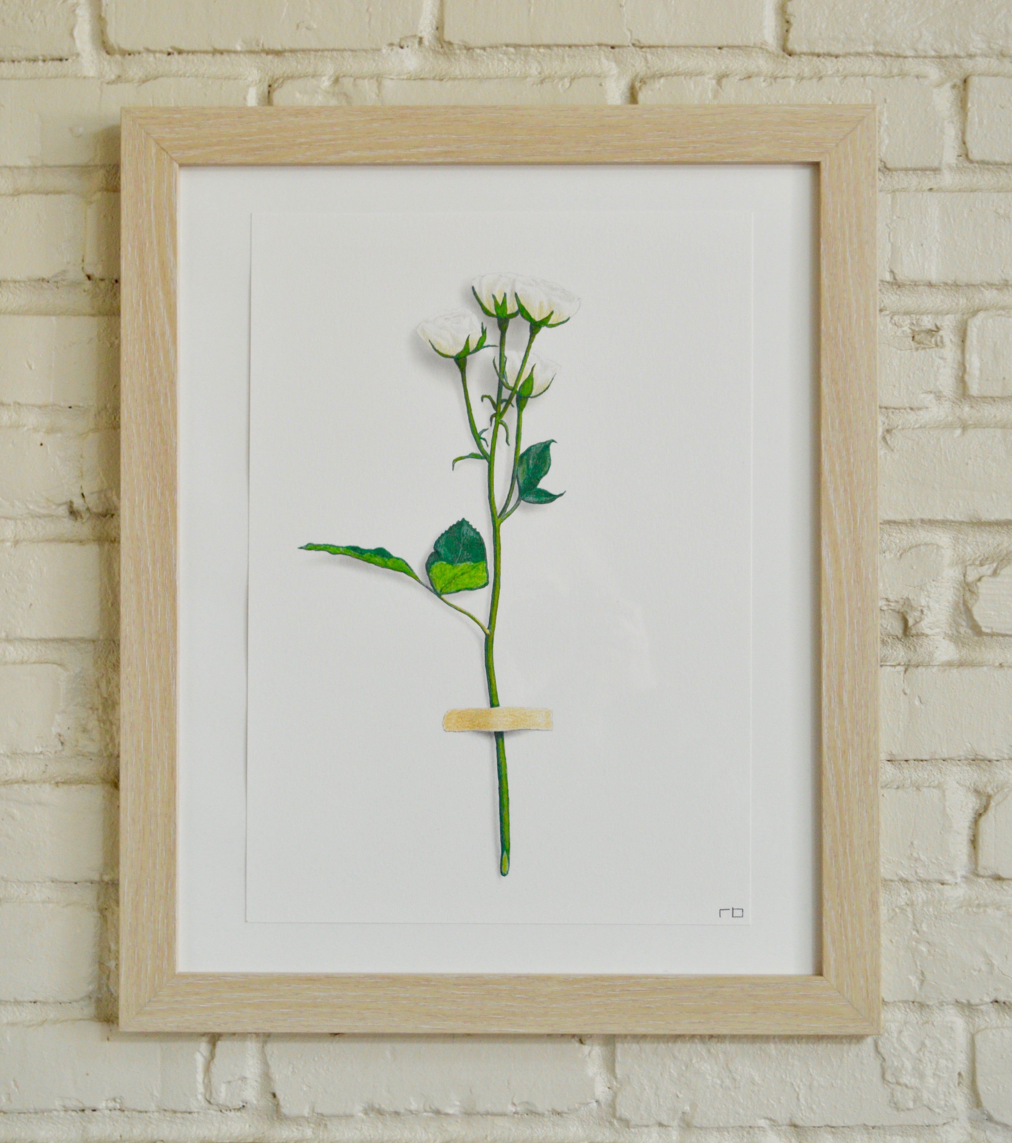 White Flower Study 2