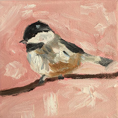 Chickadee in Pink