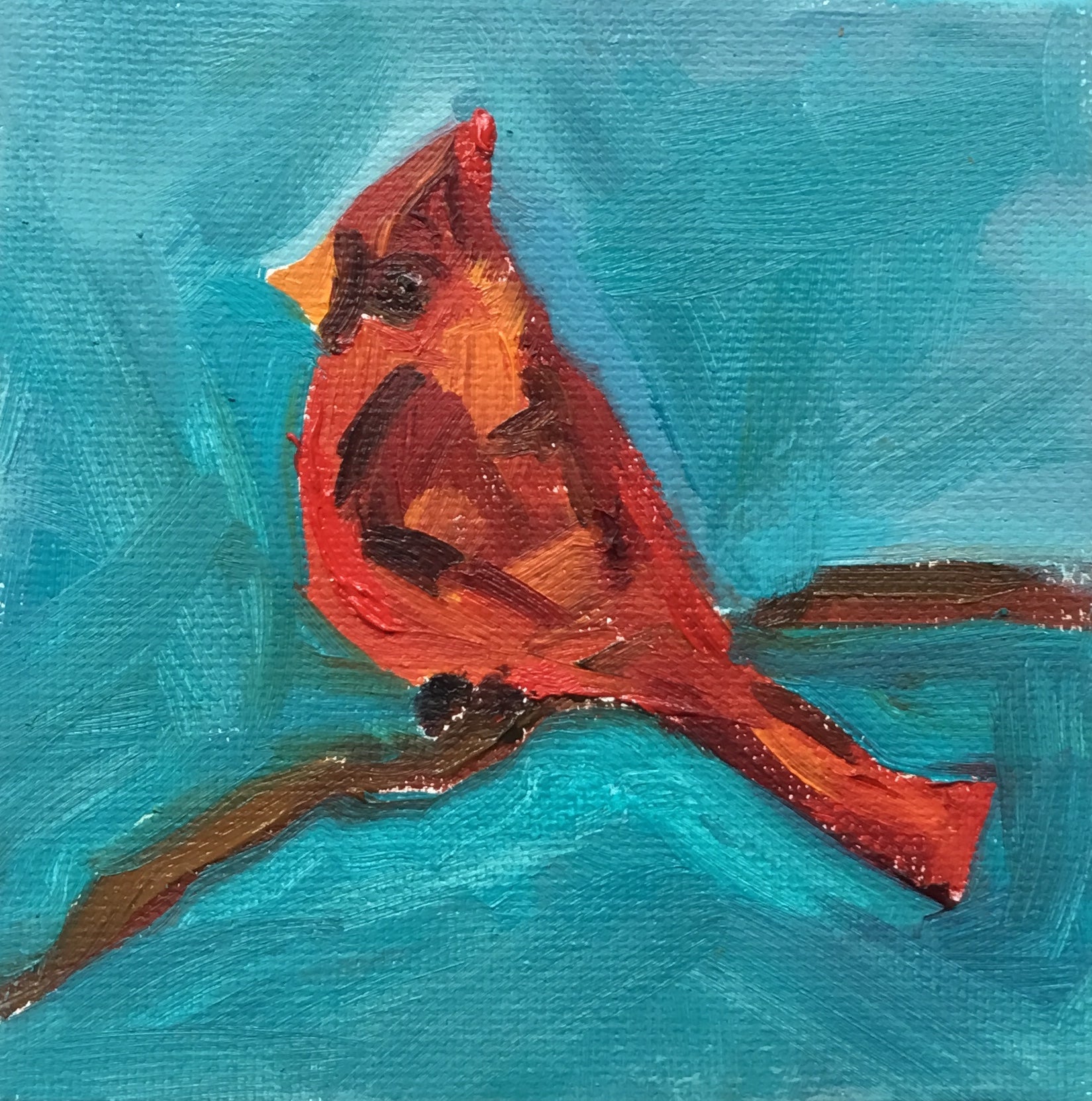Cardinal Sighting