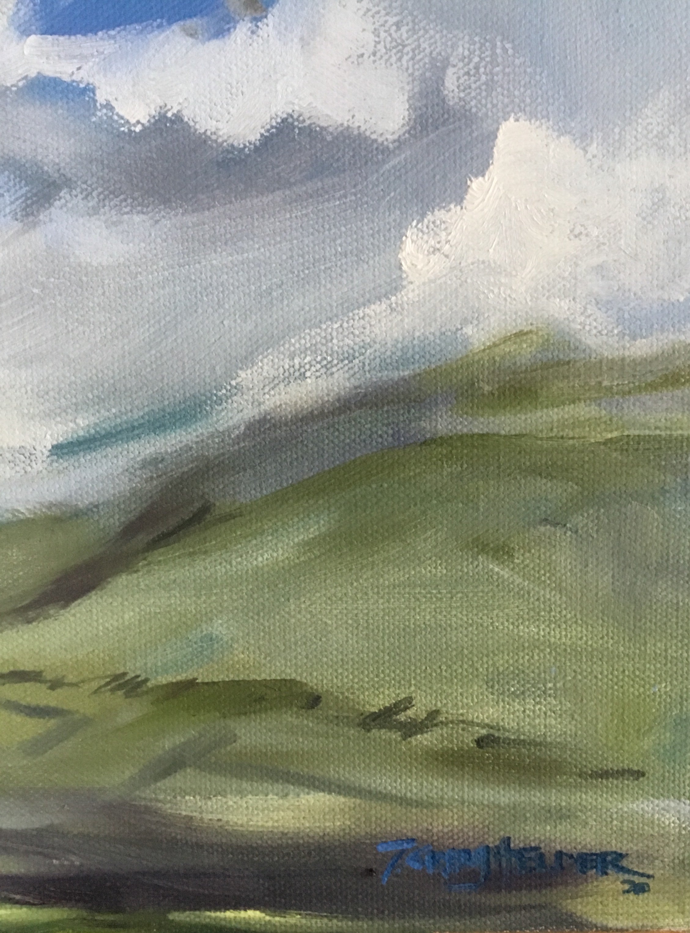 A Cloud Withdrew from the Sky