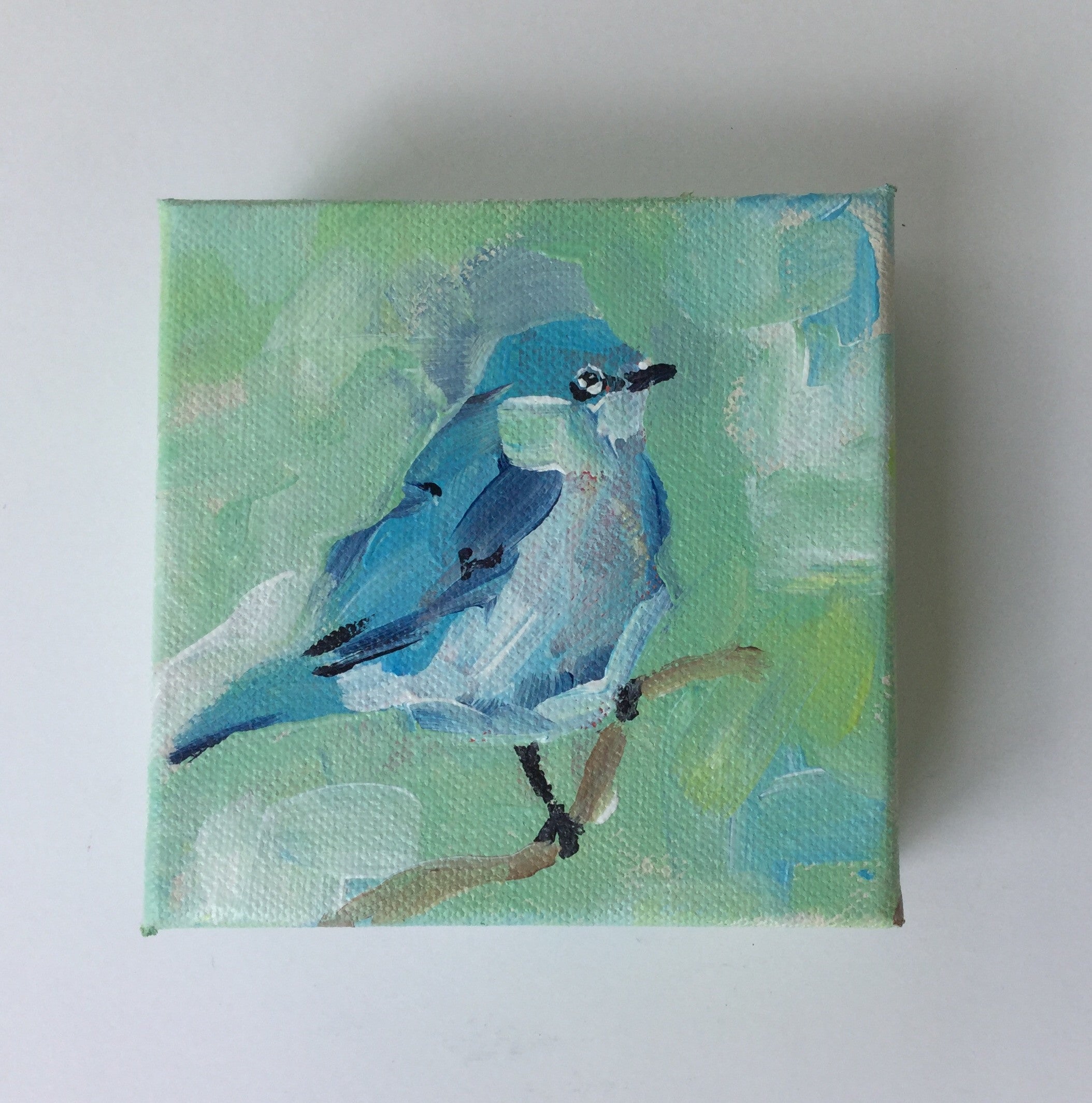 Blue Bird