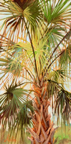 Tall Palmetto