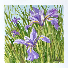 Wild Iris