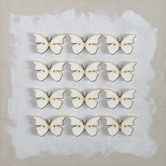 12 Butterflies 3