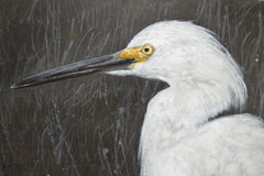 I've Got My Eye On You